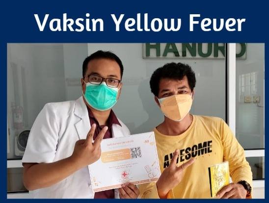 Vaksin yellow fever